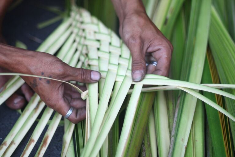 Hands weaving palm leaf into a basket